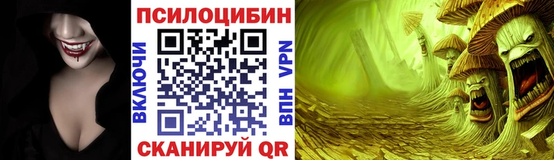 Купить  Железногорск  Псилоцибиновые грибы MAGIC MUSHROOMS 